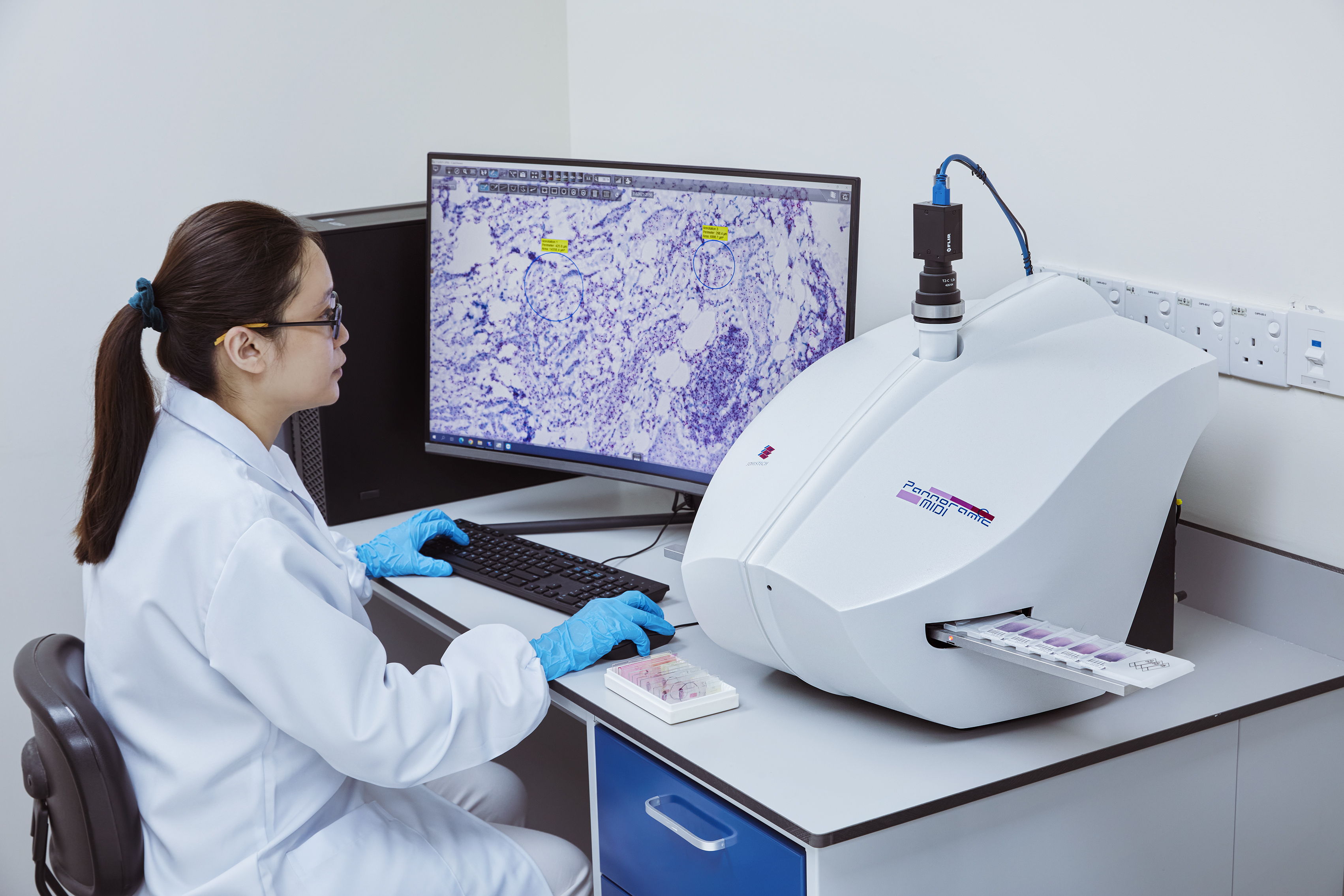 Whole slide scanning system